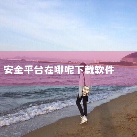 最安全的下载电脑软件方式是优先通过正规渠道，如防护软件平台、官方认证网站或应用市场进行下载。 具体方法如下：通过防护软件下载使用电脑防护软件（如360卫士、金山卫士等）内置的软件管理功能下载软件。这些,男娘日记