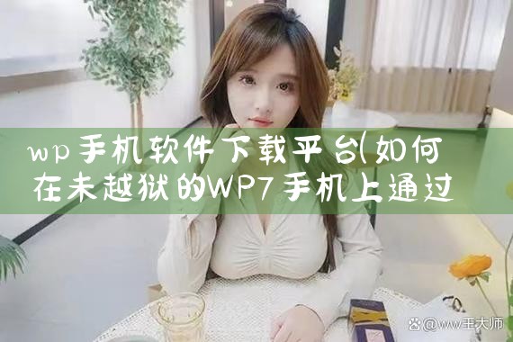 wp手机软件下载平台|男娘日记
