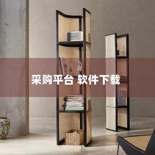 企业回1. **多角色协同**：支持品牌商直供、经销商分润、商户自主提货等灵活模式；
B2B2b电商交易系统专为供应链深度整合而设计。它连接了供应商与最终企业买家，支持线上交易和多角色协作，助力企业大,糖心Vlog入口