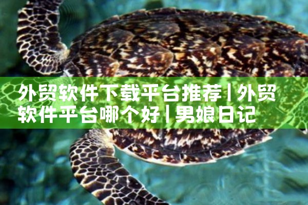 外贸软件下载平台推荐|男娘日记