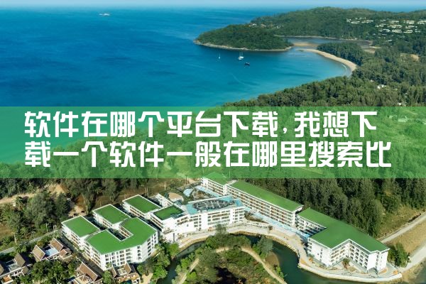 软件在哪个平台下载|糖心Vlog入口